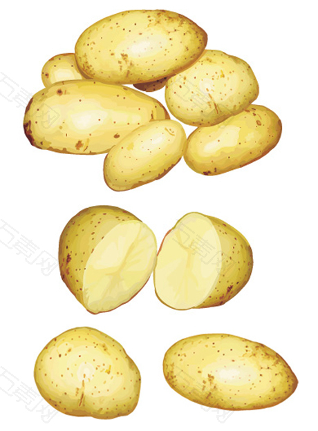 超写实土豆