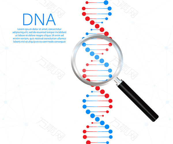 DNA链基因科技矢量