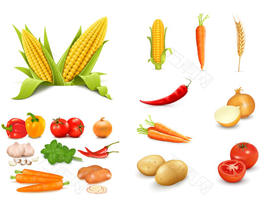 农产品蔬菜矢量