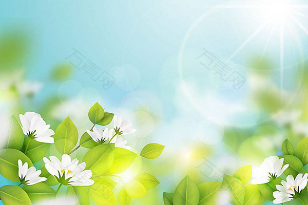阳光与绿叶花朵背景