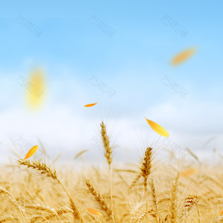 小麦清新食品促销PSD分层主图背景素材