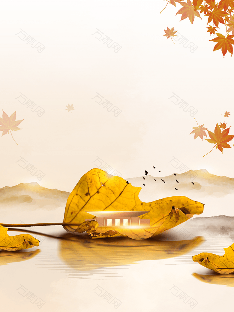 秋天立秋树叶水面秋季背景