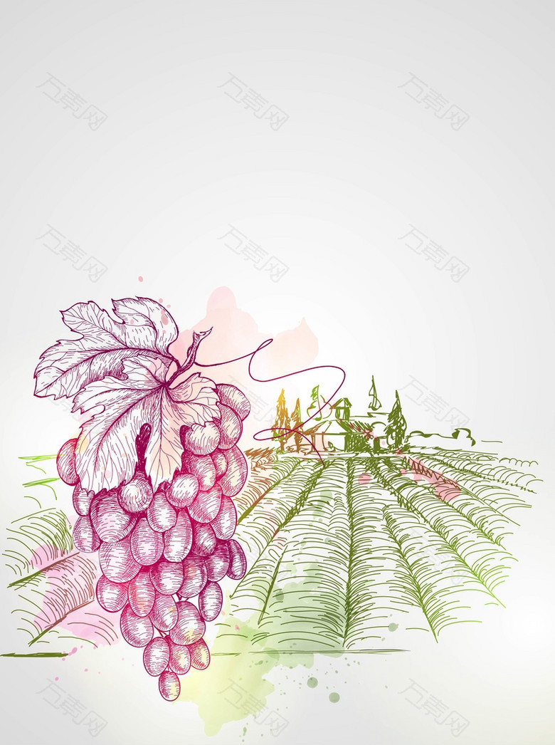 矢量手绘素描水彩葡萄酒庄园背景