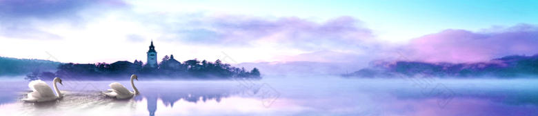 浪漫优雅天鹅湖美景