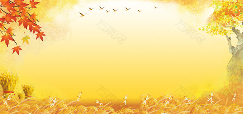金黄色麦地大尺寸banner背景