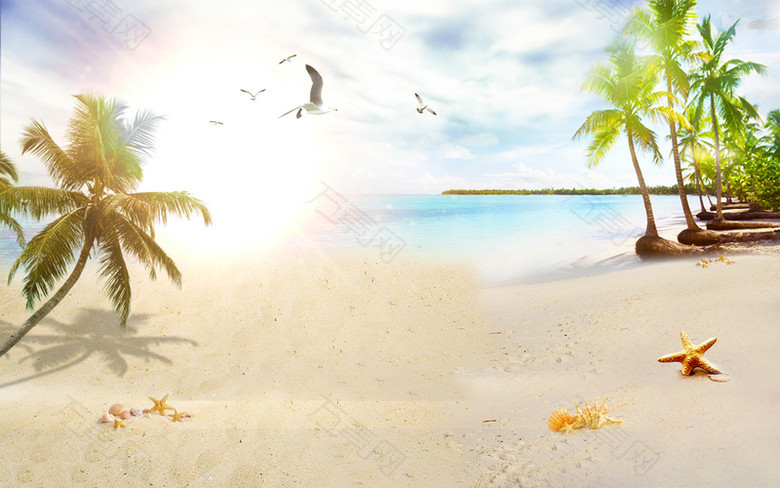 阳光海滩沙滩风景树木夏日背景素材