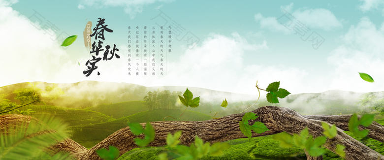 自然风景山谷茶叶海报背景