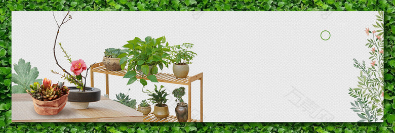 绿色灰色小清新多肉绿植盆栽banner