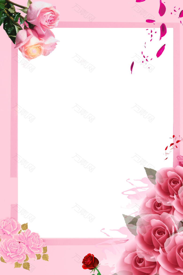 粉色唯美白色情人节玫瑰花边背景