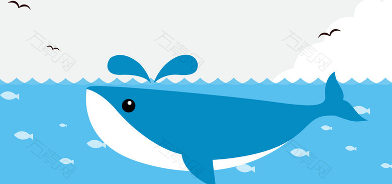 小海豚背景banner