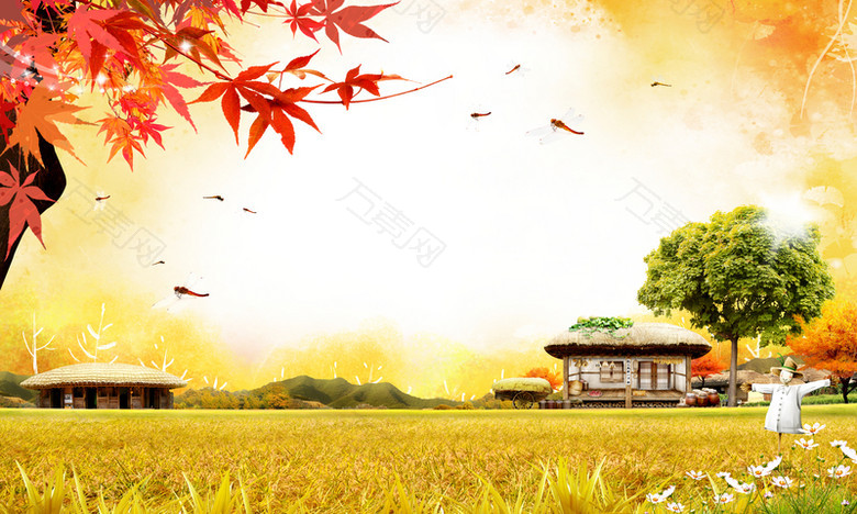 秋天金秋韩国枫树印刷背景