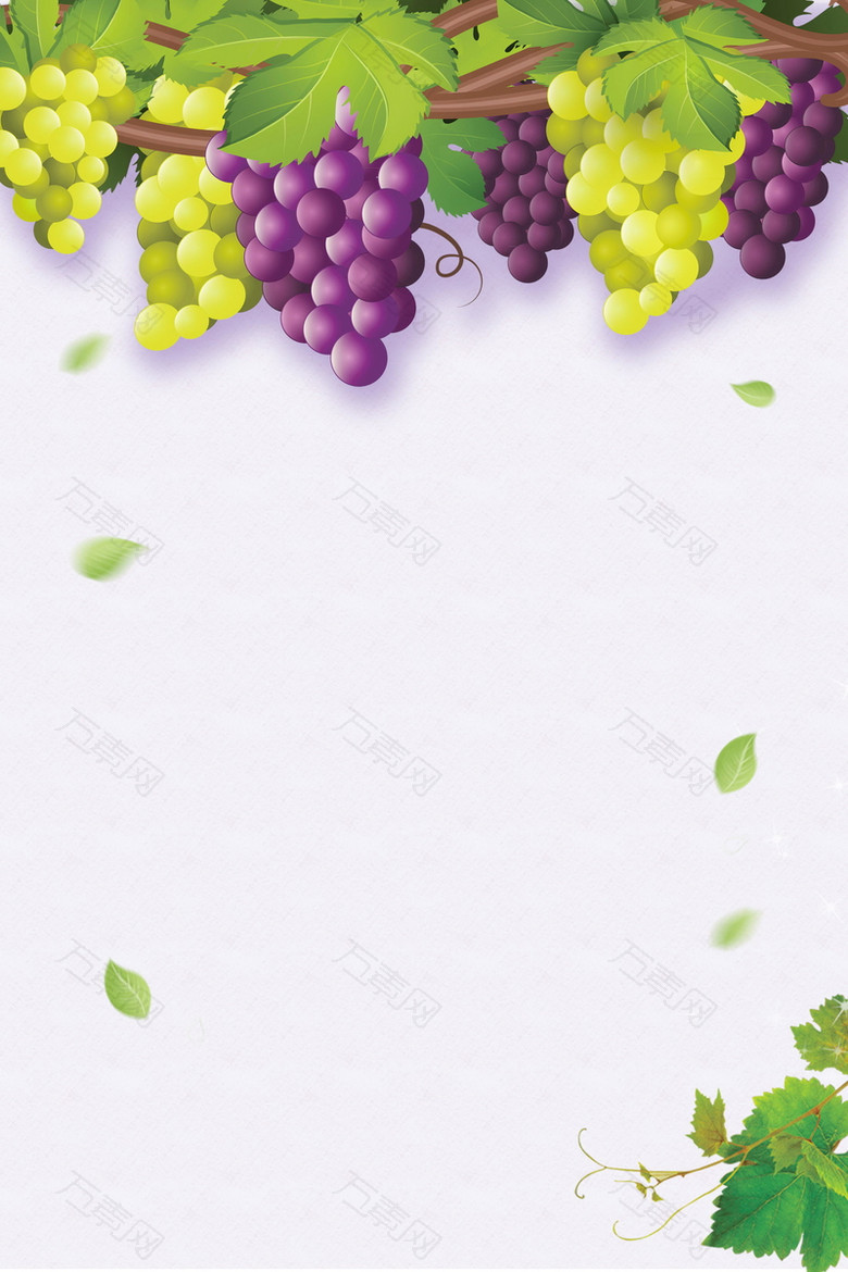 清新葡萄采摘葡萄熟了海报背景