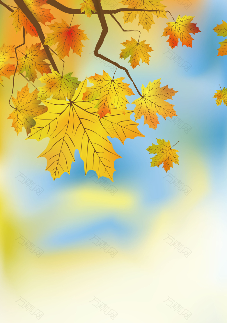 秋天树叶黄背景