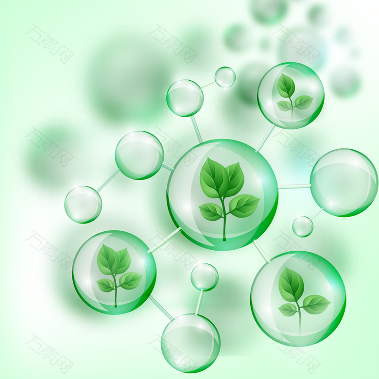 绿叶水泡