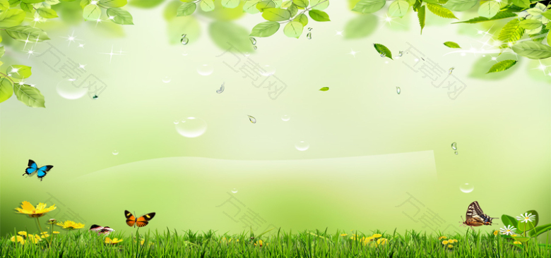 初春雨水清新绿色淘宝海报背景