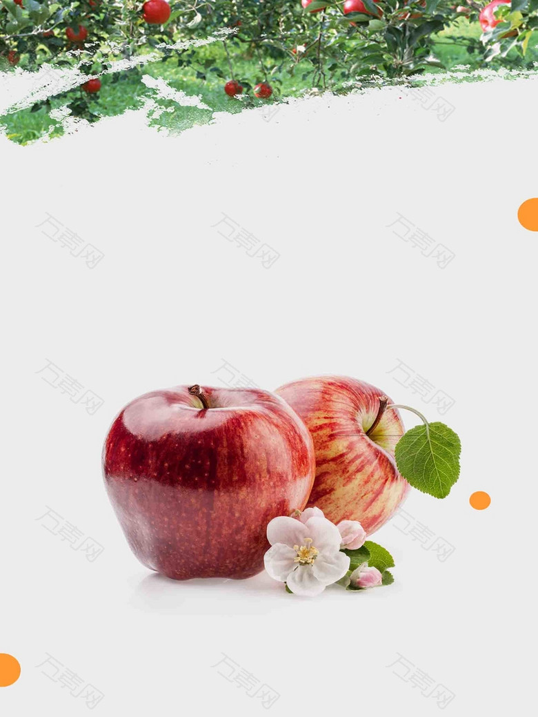 果园新鲜苹果海报背景模板