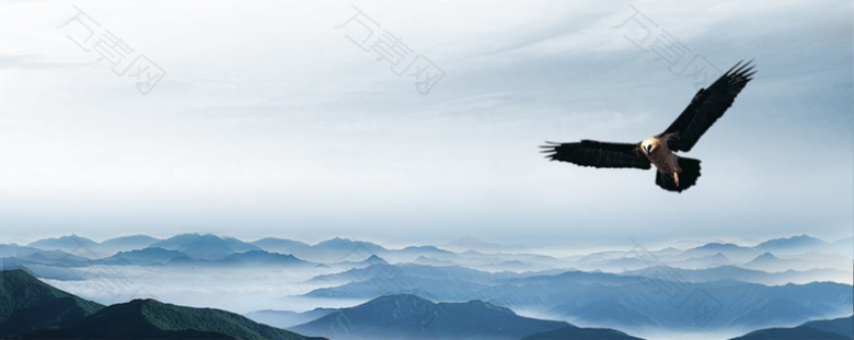 老鹰遨游天际背景图