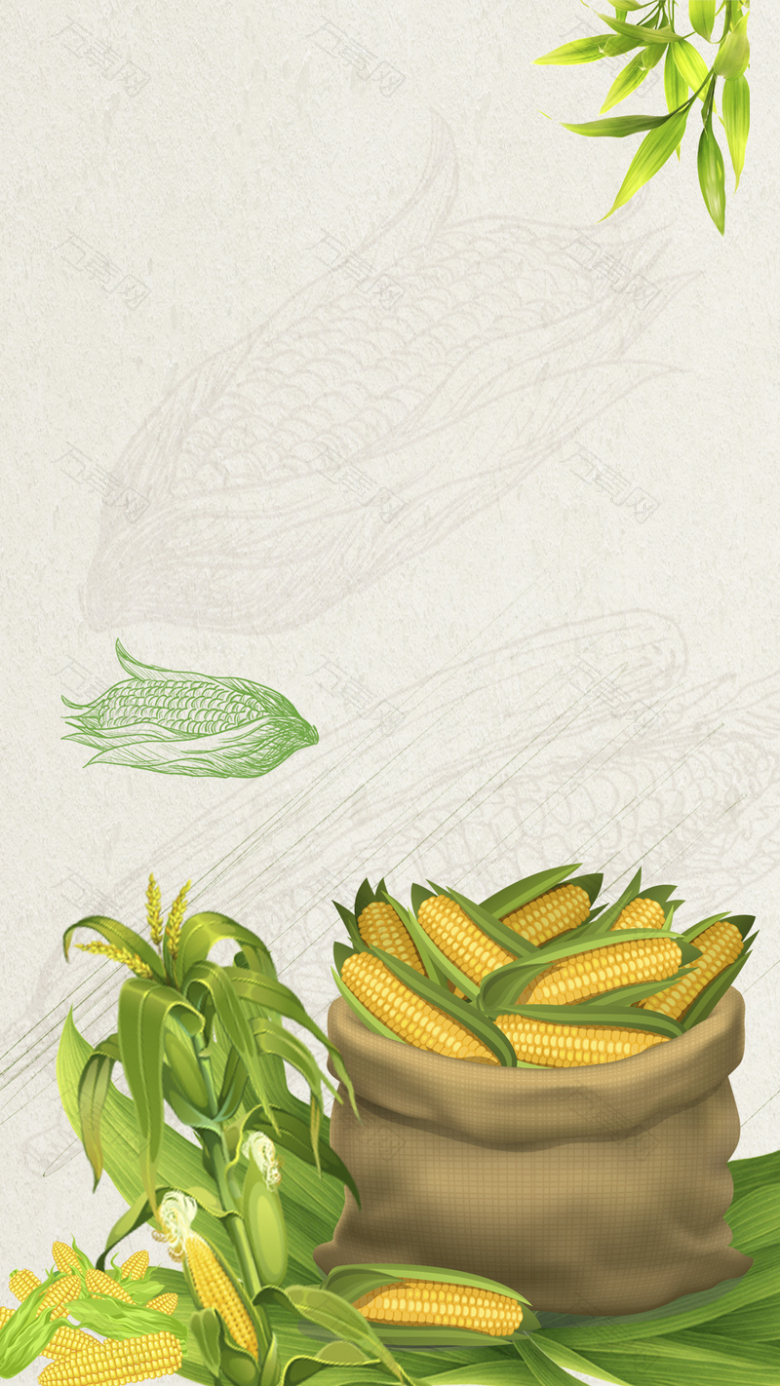 绿色纹理玉米丰收H5背景素材