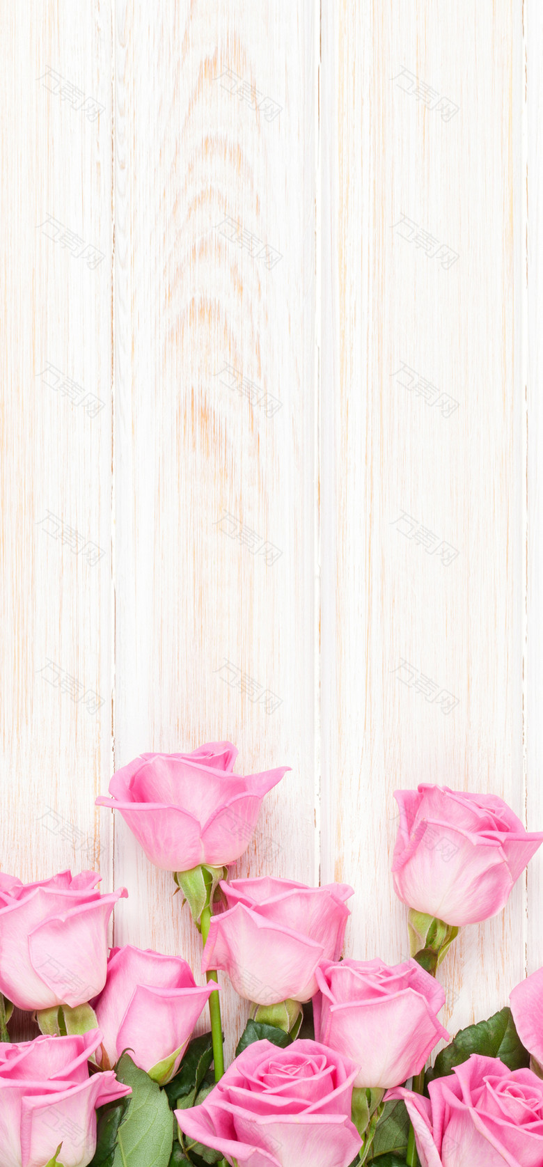 粉色玫瑰主题背景婚庆展板