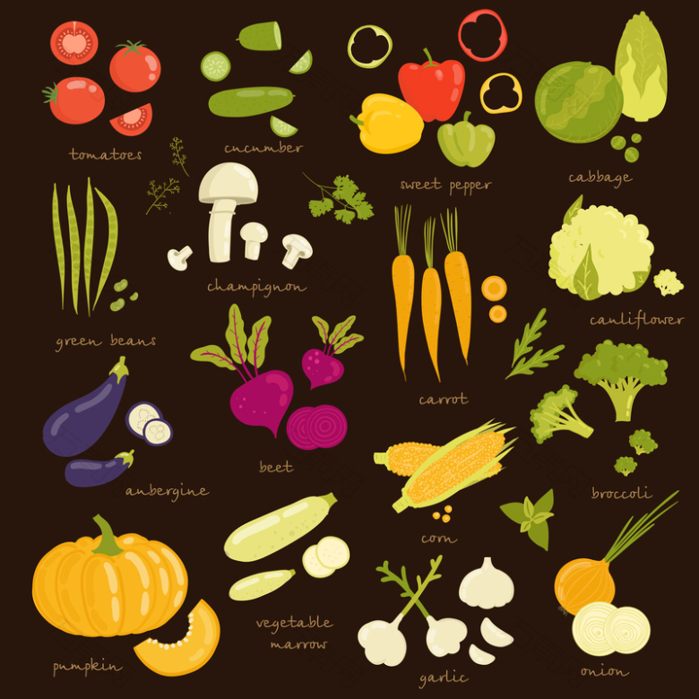 新鲜的蔬菜矢量背景图