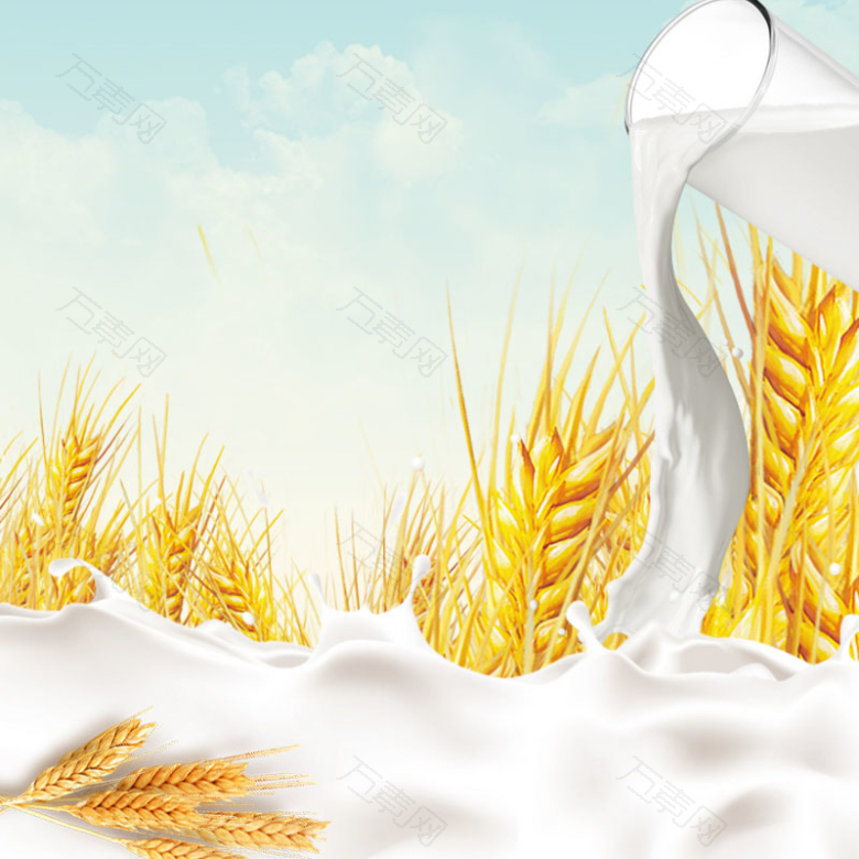 牛奶谷物营养饮料小吃食品主图