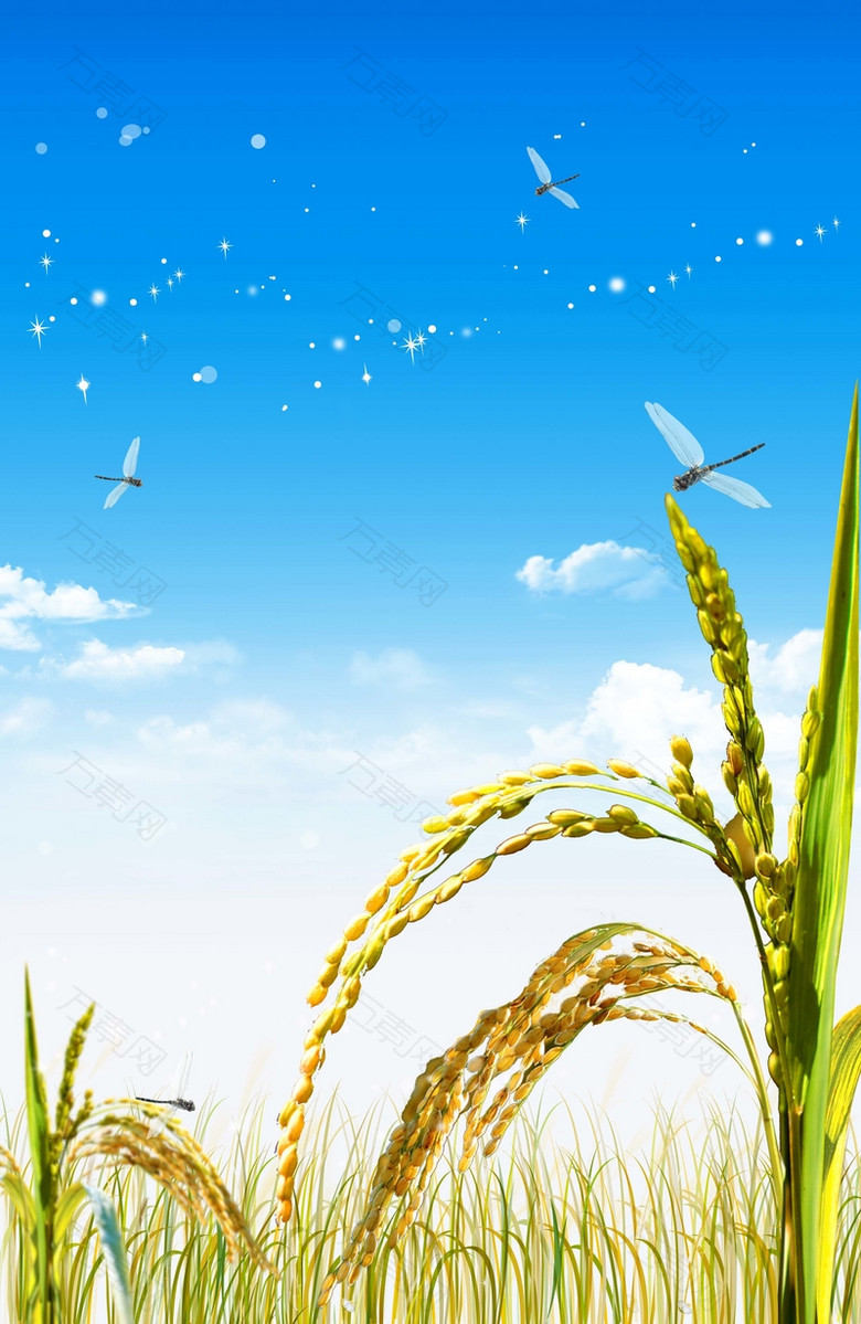 唯美稻田绿色食品海报背景模板