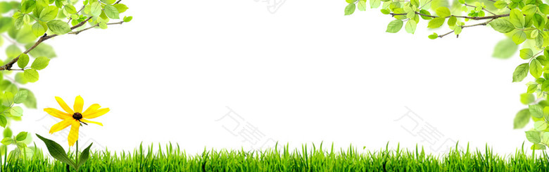 绿色草地风景背景图片