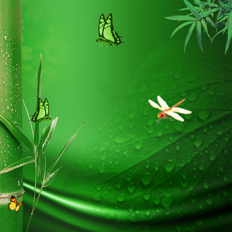 绿色夏季水珠竹子端午节主图背景