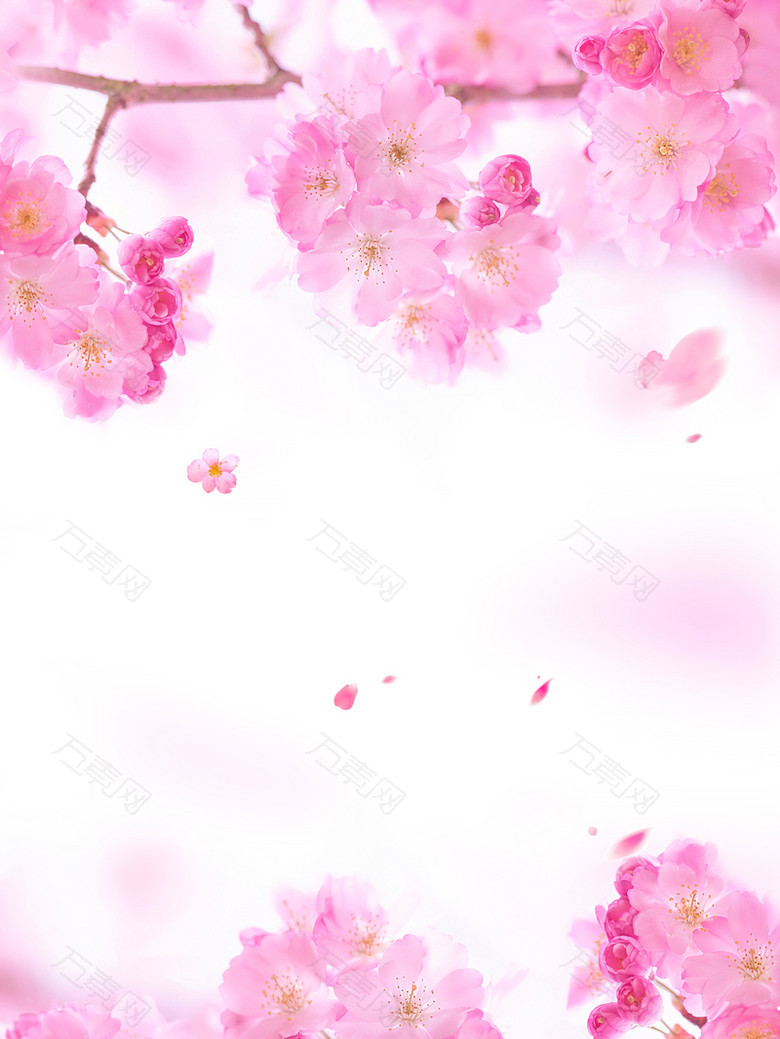 粉色浪漫美妆海报背景