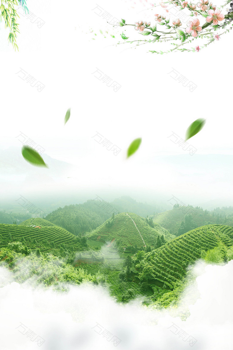 绿色茶叶背景素材