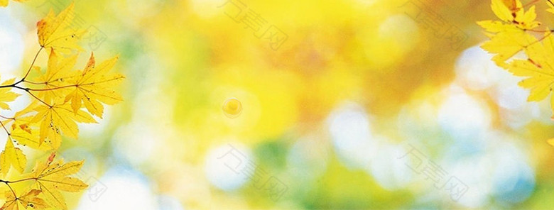 金秋树叶黄色详情页海报背景