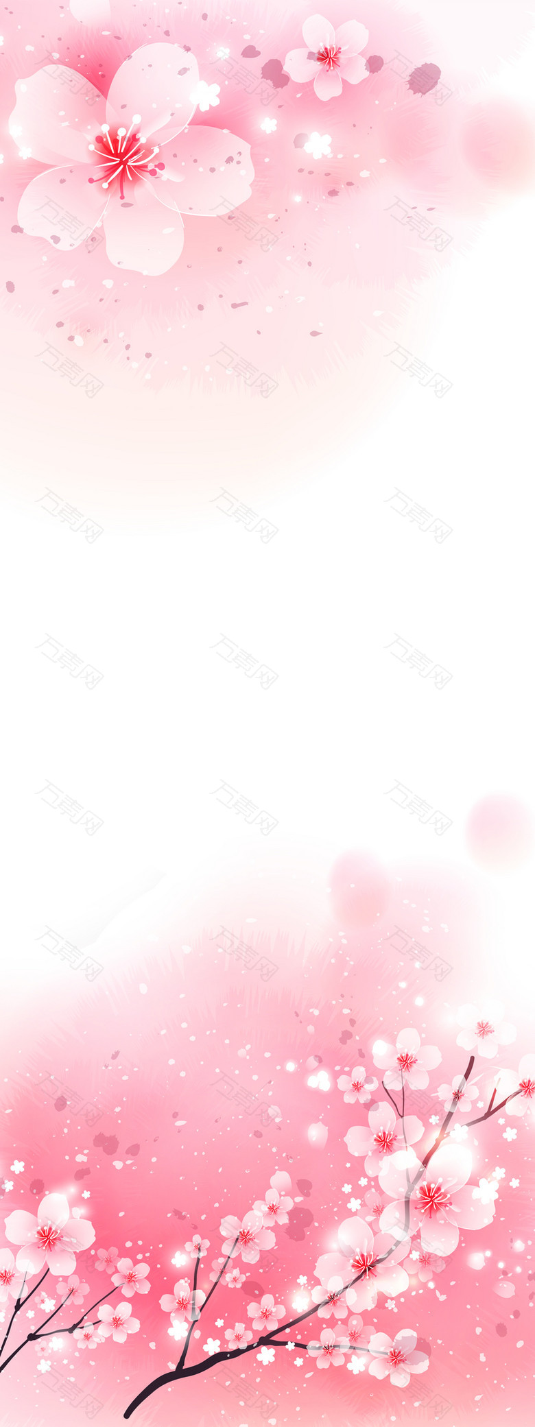粉色樱花浪漫展板背景素材