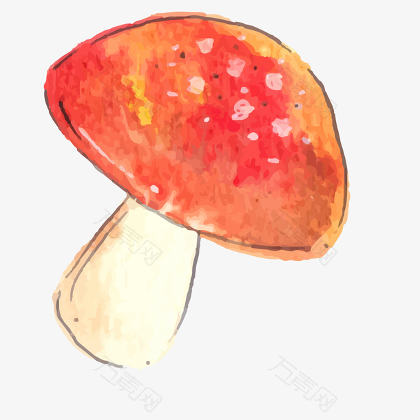 水彩手绘蘑菇植物设计