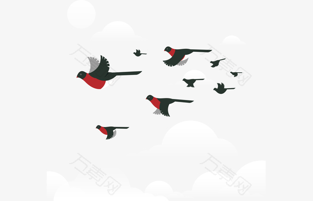 空中自由飞翔的鸟群