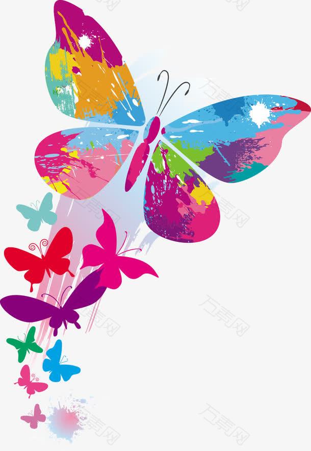 色彩斑斓蝴蝶花纹图案