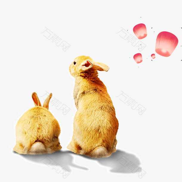 中秋写实兔子插画