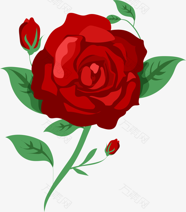 矢量图火红的玫瑰花