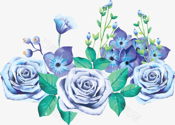精美蓝色玫瑰花丛