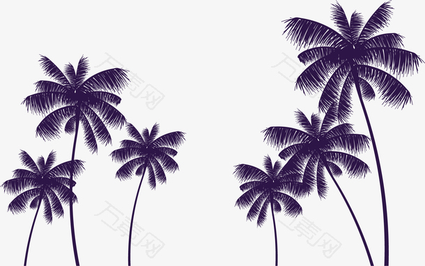 夏天海边度假椰子树