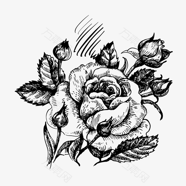 玫瑰花手绘素材图案