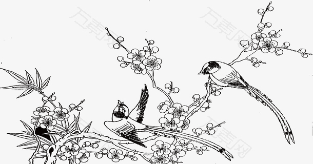 黑白手绘花鸟喜鹊设计素材