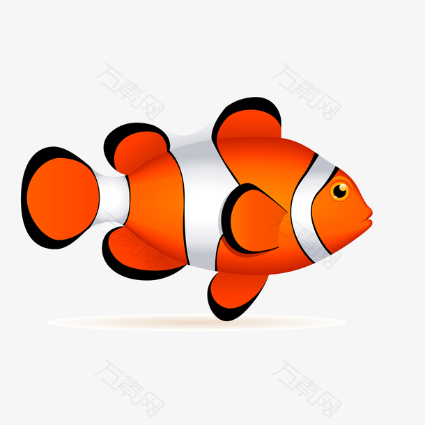 卡通小丑鱼动物设计