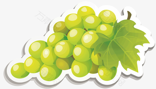 一串绿色的葡萄