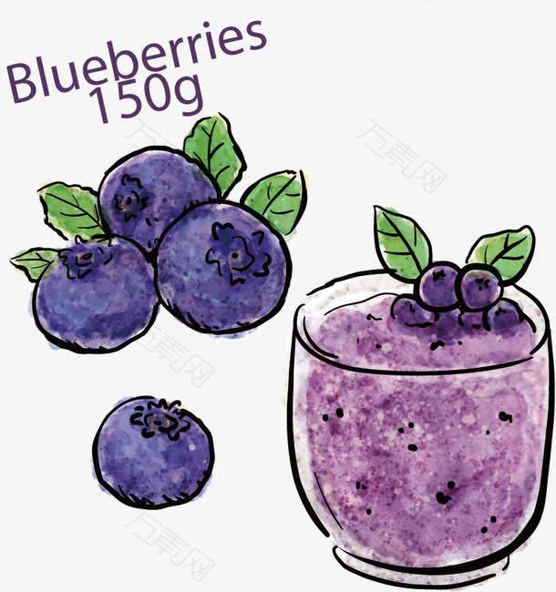矢量手绘蓝莓