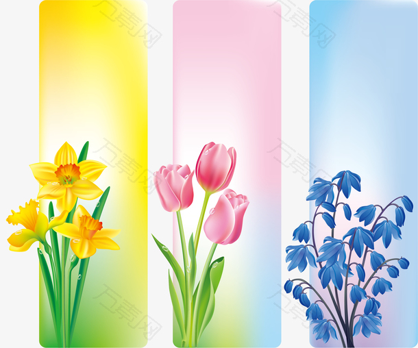 春季花卉边框横幅矢量素材