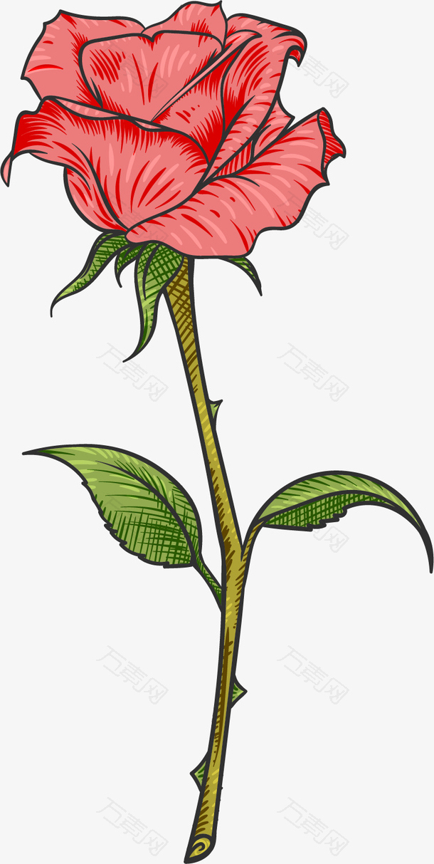 矢量图红色带刺玫瑰
