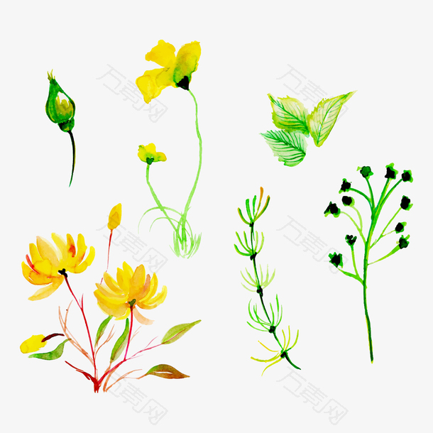 春天黄绿色植物手绘