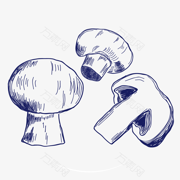 手绘线条香菇设计
