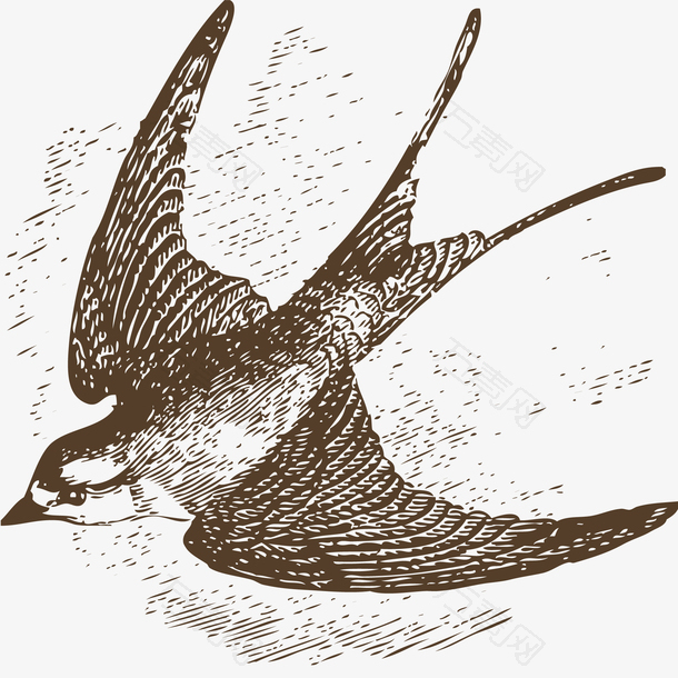 手绘空中飞行的燕子