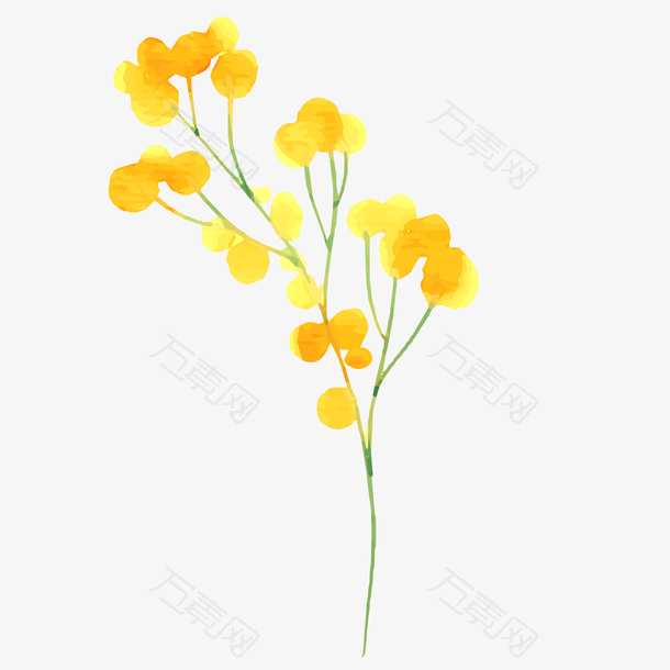 水彩手绘植物黄色花朵
